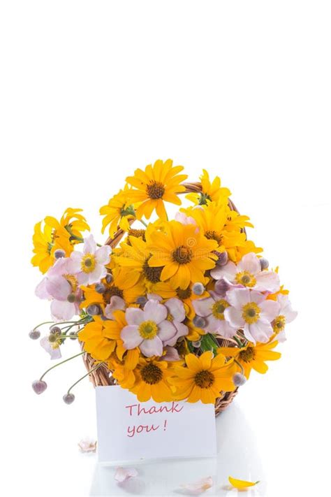 Bouquet of Yellow Big Daisies Stock Photo - Image of gift, closeup ...