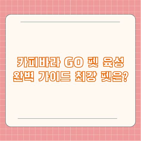 카피바라 GO 펫 육성 완벽 가이드 최강 펫은?