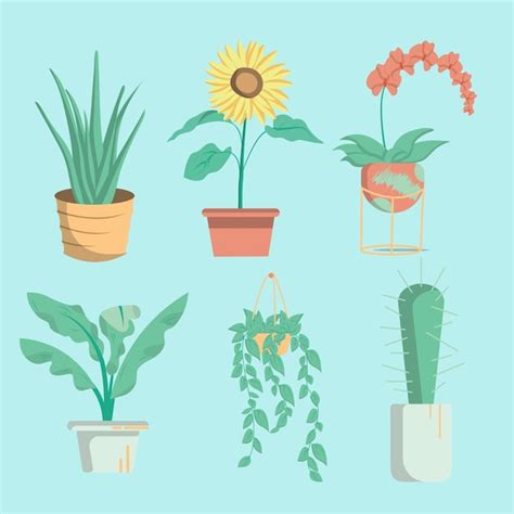 Premium Vector Flat Illustration Of Potted Plants