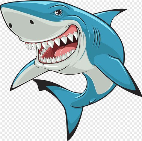 Top 168+ Shark shark cartoon - Tariquerahman.net