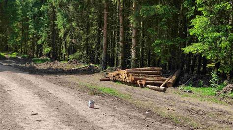 Verschmutzung am Dreisbachteich Gefeiert getrunken und den Müll