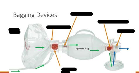 Bag Mask Ventilation Labelling Diagram | Quizlet