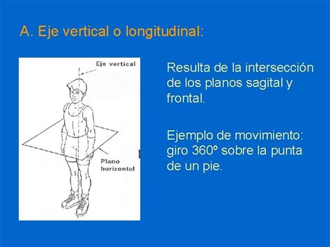 Tema 0 Generalidades Qu Tengo Que Saber De