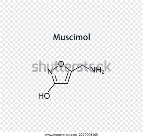 Chemical Structure Muscimol Vector Illustration Isolated Stock Vector ...