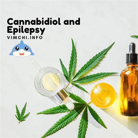 How Does Cannabidiol Help Epilepsy Vim Chi