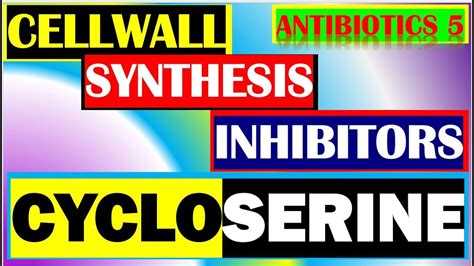 Cycloserine Antibiotics Pharmacology Mechanisms Actions Resistance Part ...