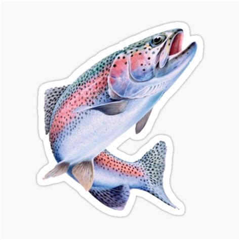 Colorado Cool Stickers Redbubble