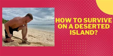 How To Survive On A Deserted Island Complete Guide