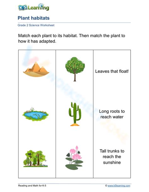 Plants, Habitats And Adaptations Worksheet