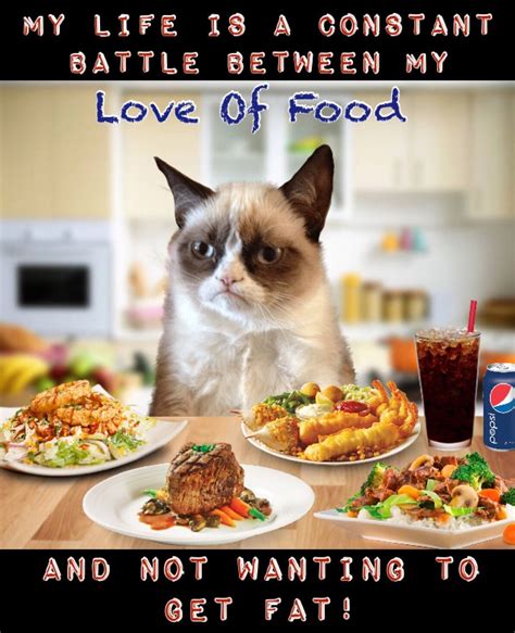 cat eating food meme - Dawne Mansfield