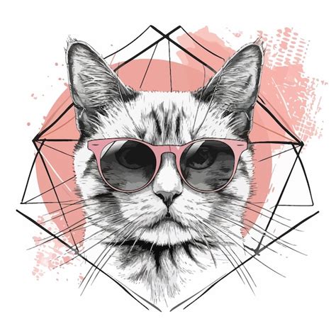 Premium Vector Cat T Shirt Design