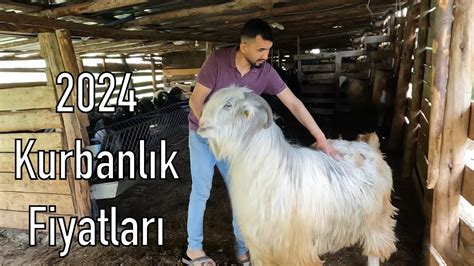 2024 KURBANLIK FİYATLARI Honamlı Tekeler Ne Kadar YouTube