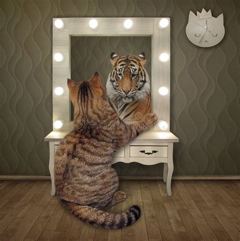 110 Cat Lion Reflection Mirror Stock Photos - Free & Royalty-Free Stock ...