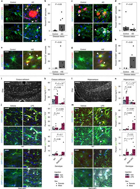 Markers Of Distinct Inflammatory Reactive Signatures Are Upregulated In