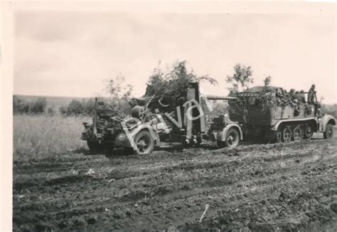 FOTO WK II Wehrmacht Soldaten SDKFZ Geschütz bei Nowgorod Новгород Tarn