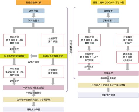 運転免許取得の手順 一般社団法人 全日本指定自動車教習所協会連合会