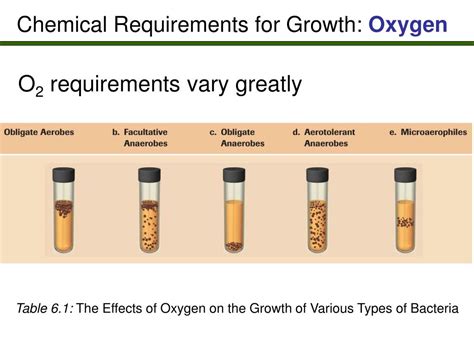 Ppt Ch 6 Microbial Growth Powerpoint Presentation Free Download Id2054051