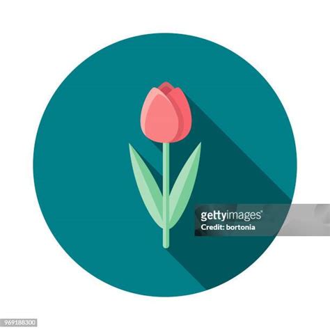 Spring Renewal Clip Art Photos And Premium High Res Pictures Getty Images