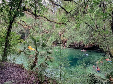 7 Local Parks To Explore In Central Florida LemonHearted