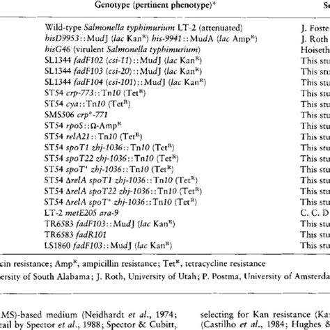 S Typhimurium Strains Used In This Study Download Table