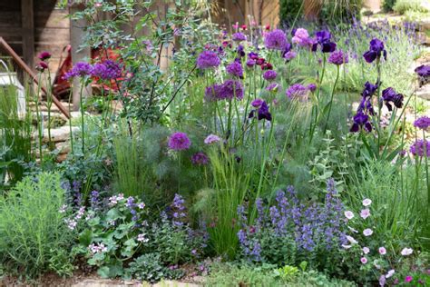 Top 10 Chelsea Flower Show Plants - The English Garden