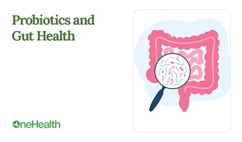 Probiotics and Gut Health - OneHealthNG