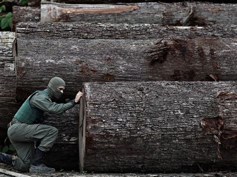 La deforestación amazónica de Brasil cae con fuerza en la primera mitad