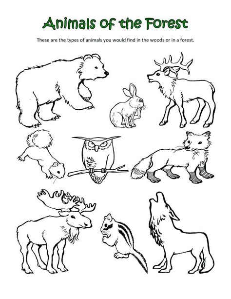 Polar Animals Coloring Pages at GetDrawings | Free download