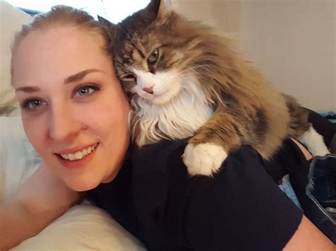 Woman Spent 7 Months To Bring Love Back Into Cat That Others Thought