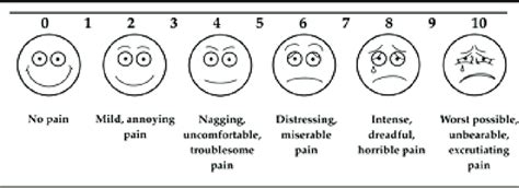 Presentation of the basic instrument for determining pain intensity ...