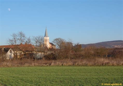 Streda nad Bodrogom | Apsida