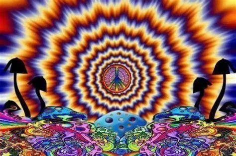 Science Uncovers Magic Behind Psychedelic Mushrooms The Star