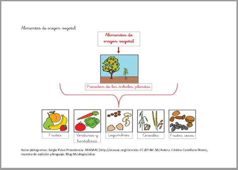 Unidad didáctica Los alimentos Pictofacile