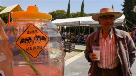 Tianguis De Pulque Y Cerveza Cu Ndo Y D Nde Se Celebra M Sporm S