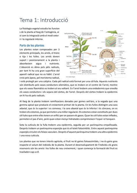 Introducció i fotosintesis I Tema 1 Introducció La fisiologia