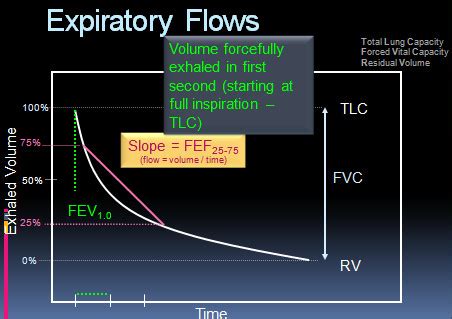 Pulmonary Pathophysiology Pulmonary Function Testing Flashcards Quizlet