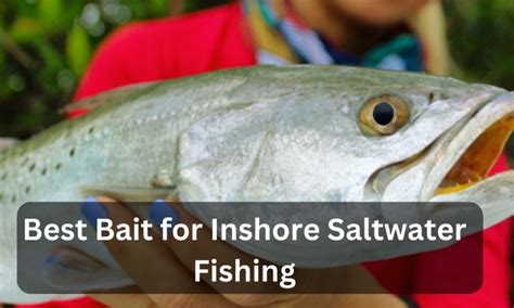 Best Bait For Fishing In Saltwater 10 Details Guide