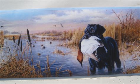 Duck Hunting Wallpaper - WallpaperSafari