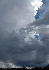 Thunderstorm - Wikipedia