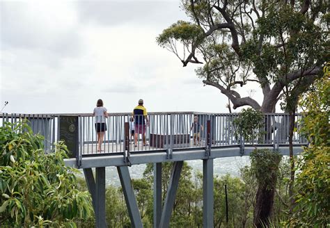 Mt Archer Treetop Boardwalk And Park Revitalization By Design