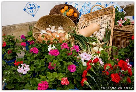 Foto CRUCES DE MAYO DETALLES Córdoba Andalucía España