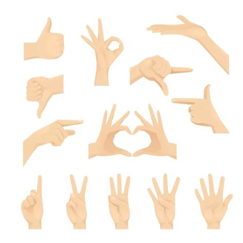 Premium Vector Hands Set In Different Gestures Isolated Vector