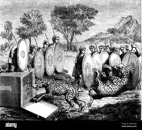 Hunting jaguars. 1858 illustration of men hunting jaguars (Panthera ...