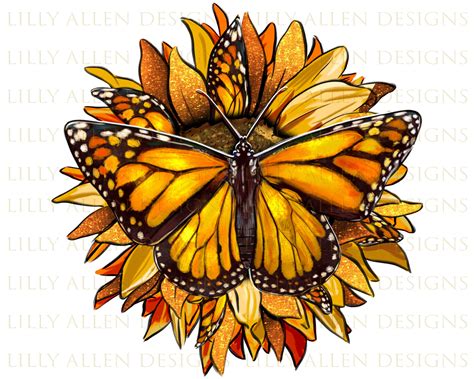 Monarch Butterfly Scientific Illustration