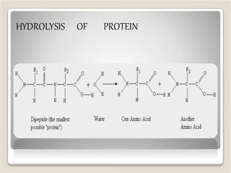 Hydrolysis