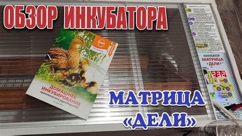 Распаковка и обзор инкубатора Матрица Дели - YouTube
