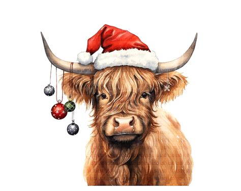 Xmas Highland Cows Images Clipart Pack Christmas Holiday Etsy