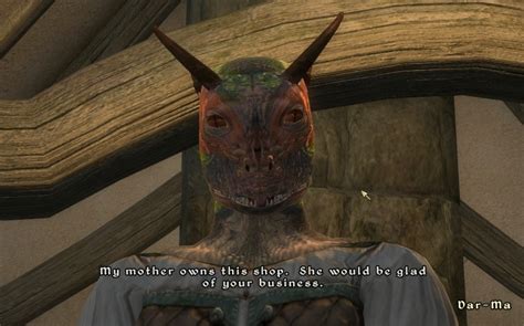 Elder Scrolls Iv Oblivion Part 63 The Elder Updates Lxii Obliviennui