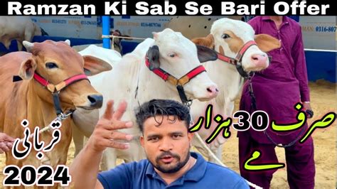 Sirf 30 Hazar Me Qurbani 2024 Ka Janwer Ayub Goth Ka Shoqeen Al