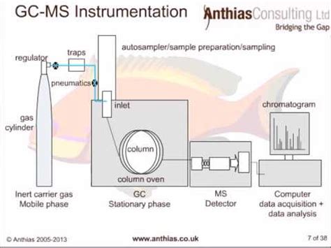 Gc Ms Diagram